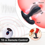 SexLure Dual Motor Heated Silicone Prostate Massager with Remote Control - Image 2