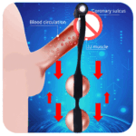 SexLure Male Enhancement Trainer Multi-Stage Vibration System - Image 4