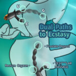 SexLure Black Strawberry Beads Vibrating Anal Beads with Triple Motors for Intense Dual Orgasms and Prostate Stimulation - Image 4