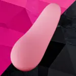 SexLure Wireless Remote Controller 10 Vibration Modes USB Rechargeable Waterproof