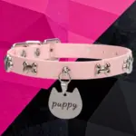 SexLure Pink Bone Collar Adjustable Silver Charm Pet Accessory