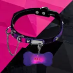 SexLure Purple Color-Changing Leather Collar