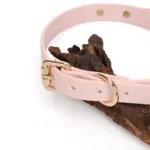 SexLure Pink Heart Collar Adjustable Gold Bell Charming Pet Accessory - Image 7