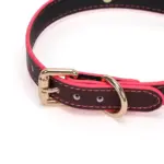 SexLure Heart Glow Collar Adjustable Light-Up Bell Romantic Pet Accessory (Copy) - Image 13