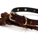 SexLure Temperature Sensitive Cat Ear Bell Choker Collar for Puppy Play - Image 6