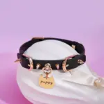 SexLure Double Spiked Punk Leather Collar with Adjustable Fit - Image 5