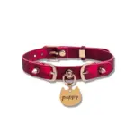 SexLure Temperature Sensitive Punk Collar for Playful Style - Image 2