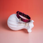 SexLure Thermal Sakura Collar Adjustable Color Changing PU - Image 6