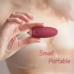 SexLure App Controlled Wearable Massager Music Sync Waterproof Portable - Image 9