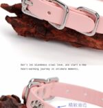 SexLure Pink Bone Collar Adjustable Silver Charm Pet Accessory - Image 8
