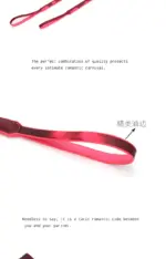 SexLure Temperature-Sensitive Heart Whip Playful Romantic Accessory 45/54cm - Image 9