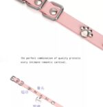 SexLure Pink Bone Collar Adjustable Silver Charm Pet Accessory - Image 10