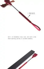 SexLure Temperature-Sensitive Heart Whip Playful Romantic Accessory 45/54cm - Image 10